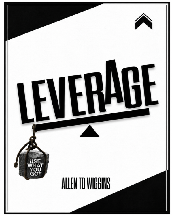 Book cover for Leverage: Use What You Got